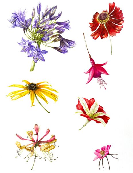 Multi Flower Assignment