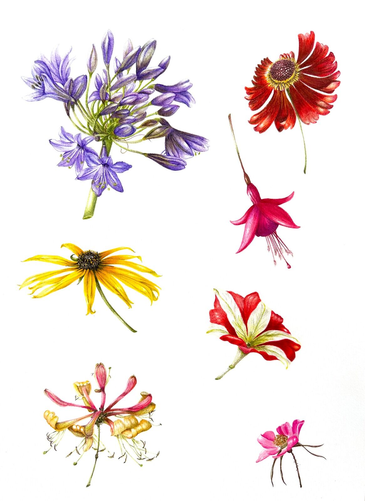 Multi Flower Assignment