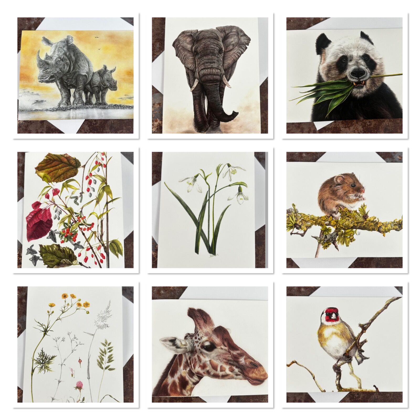 Single Greeting Card 7” x 5” - choose your option