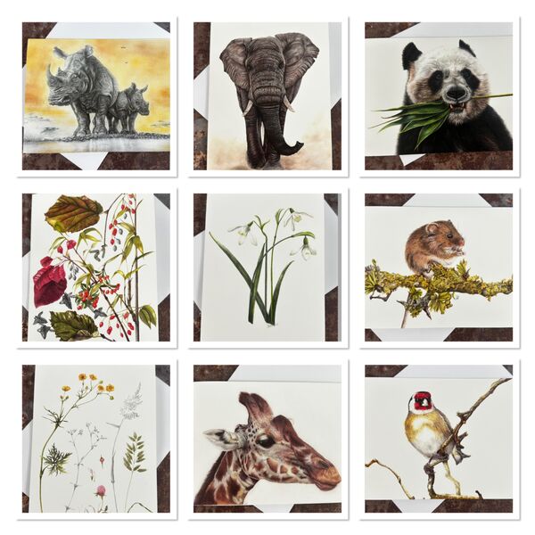 Single Greeting Card 7” x 5” - choose your option