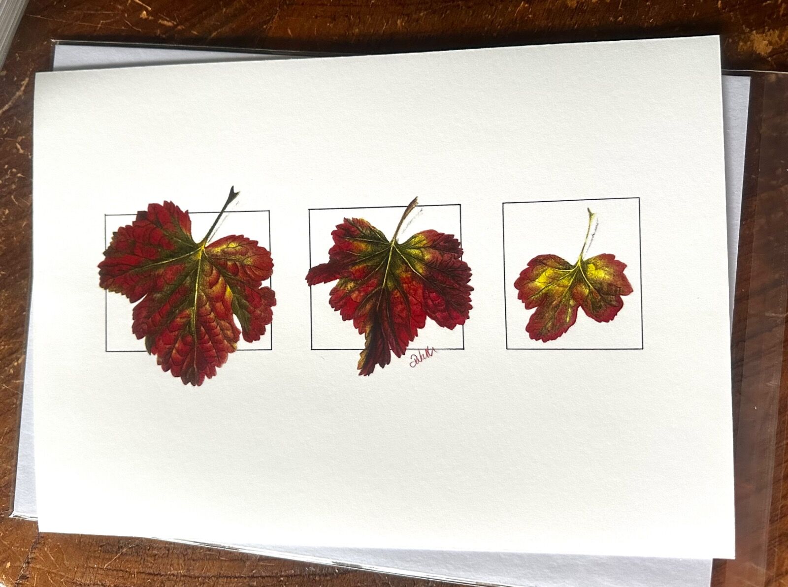 Autumn Leaf Trio Giclee Print