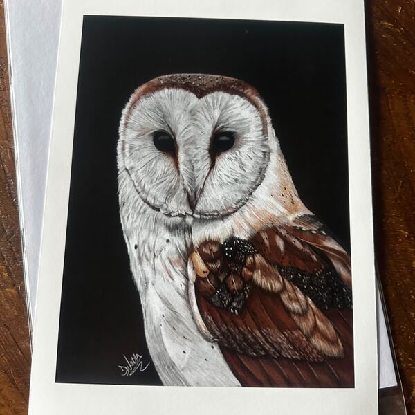 Barn Owl Giclee Print