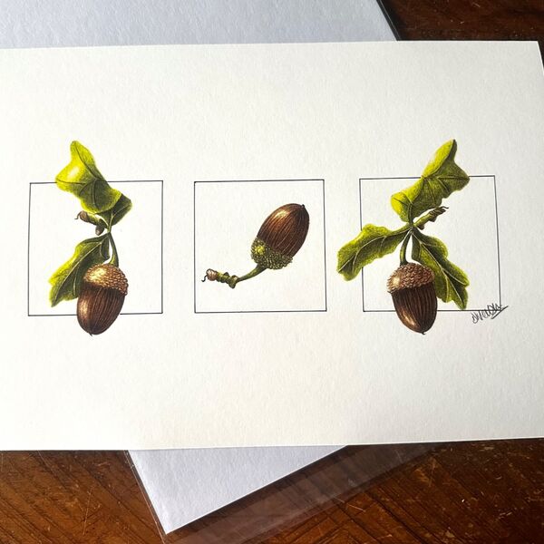 Acorn Trio Giclee Print