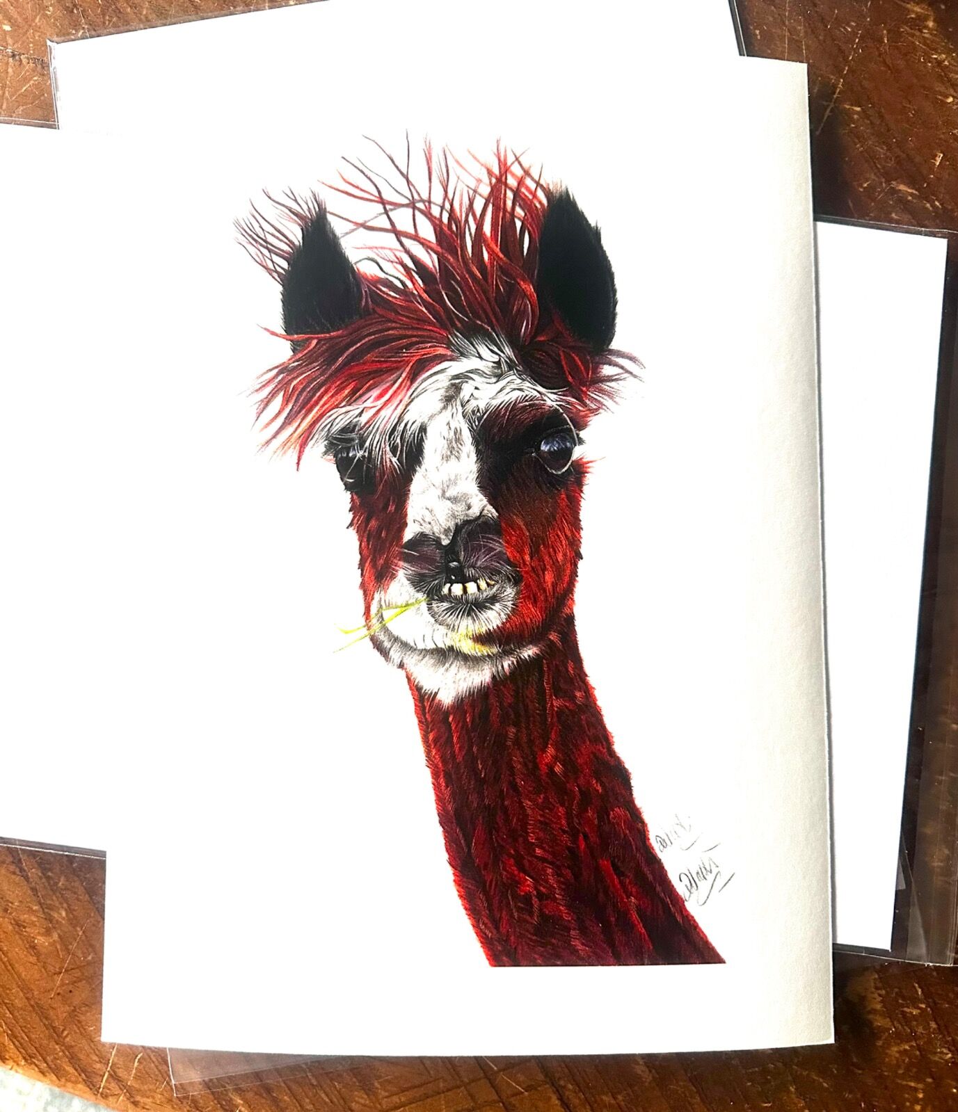 Alice the Alpaca Giclee Print