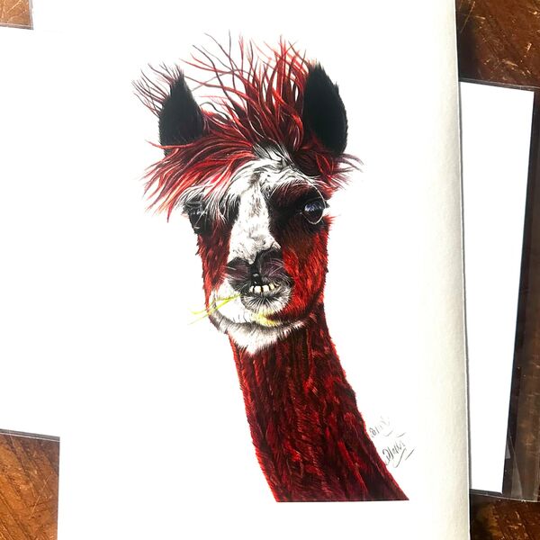 Alice the Alpaca Giclee Print