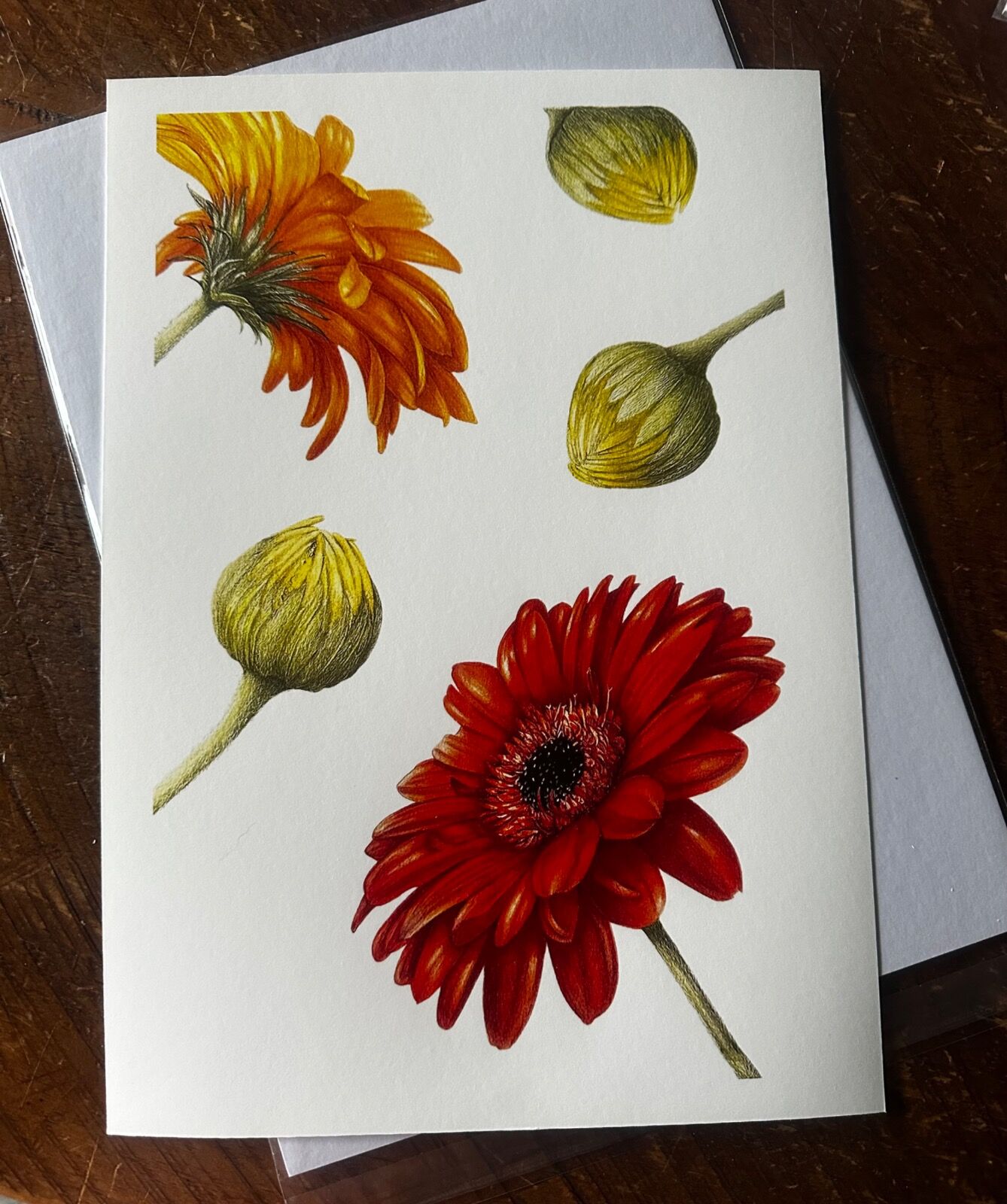 Gerbera Giclee Print