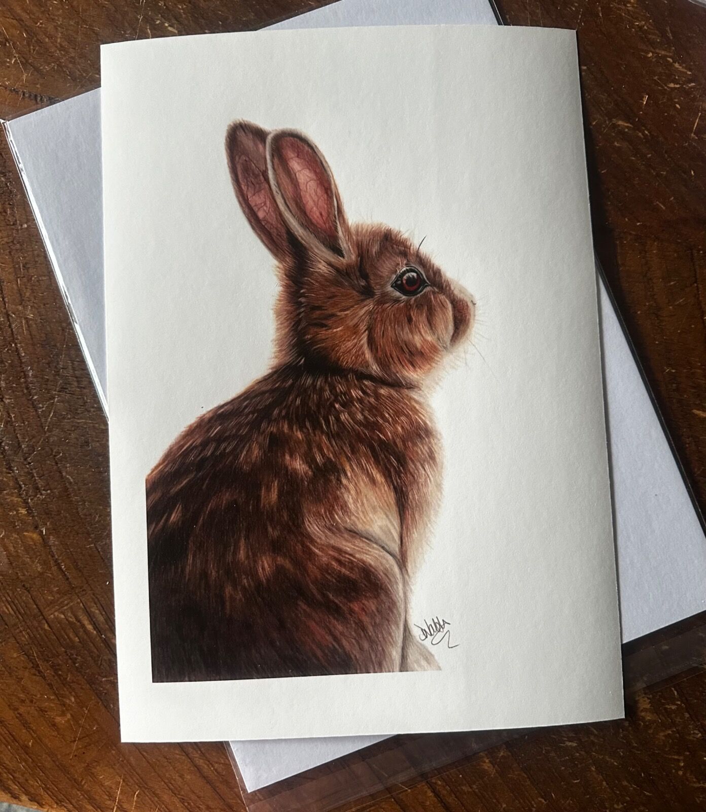 Fluffy Bunny Giclee Print