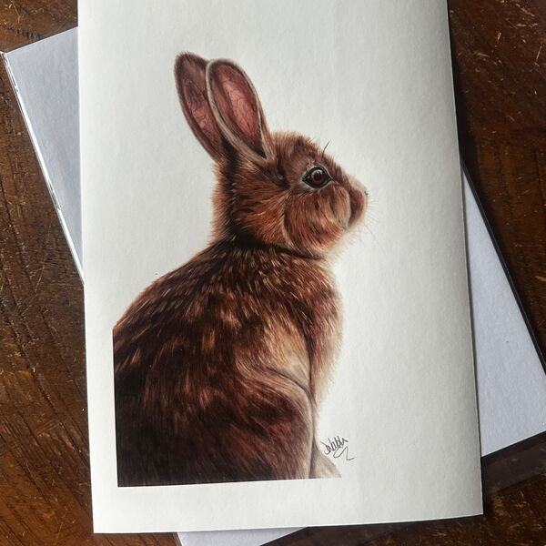 Fluffy Bunny Giclee Print