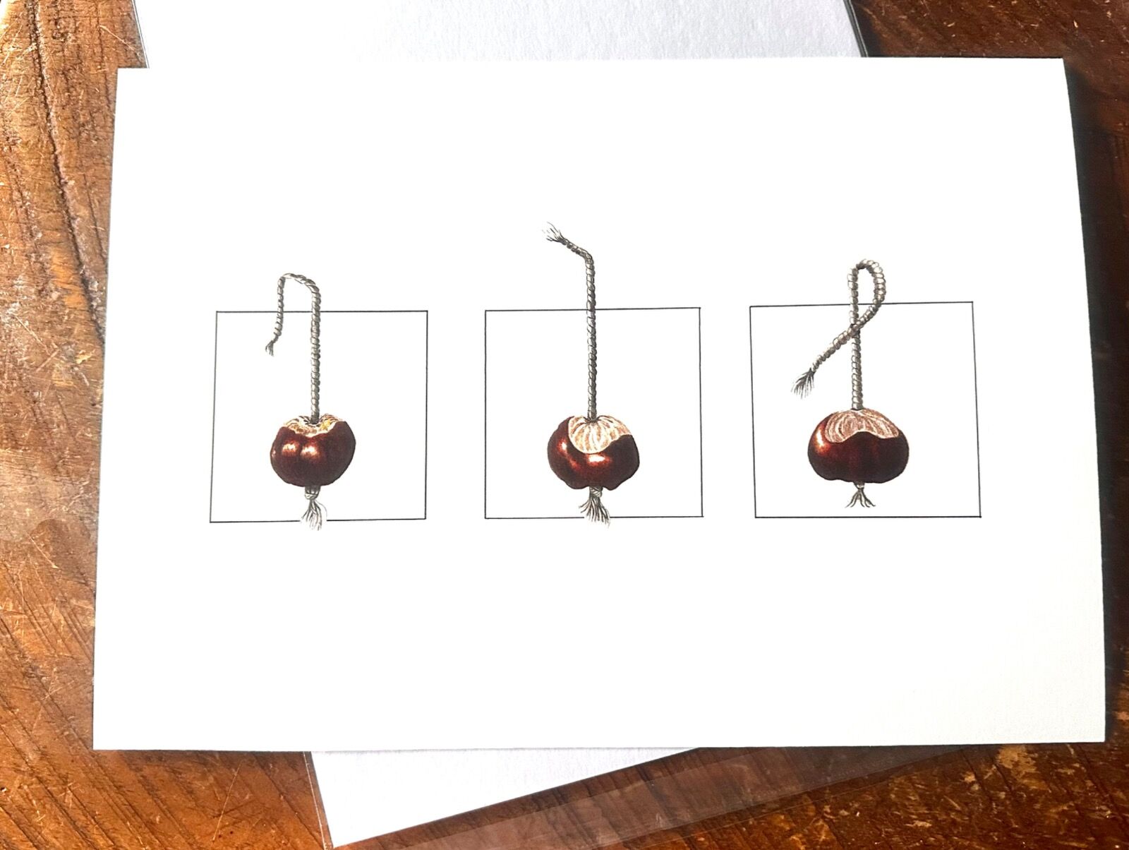 Conker Trio Giclee Print