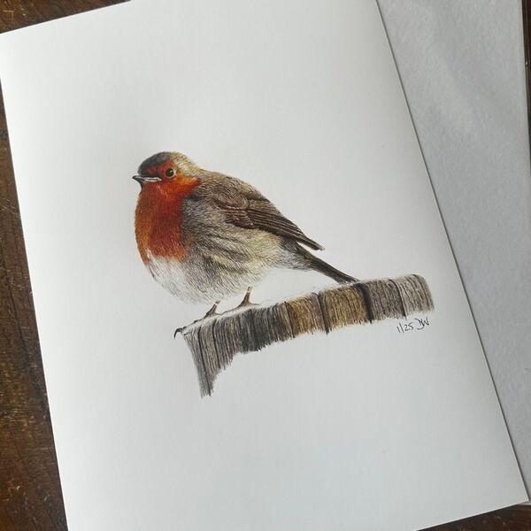Snowy Robin Giclee Print