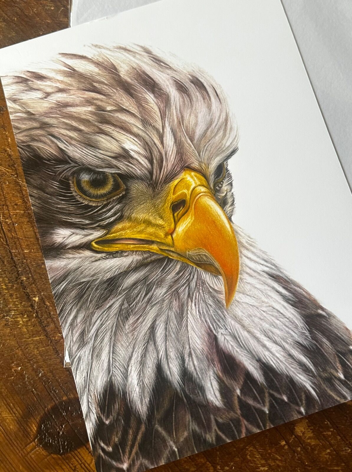 Bald Eagle Giclee Print