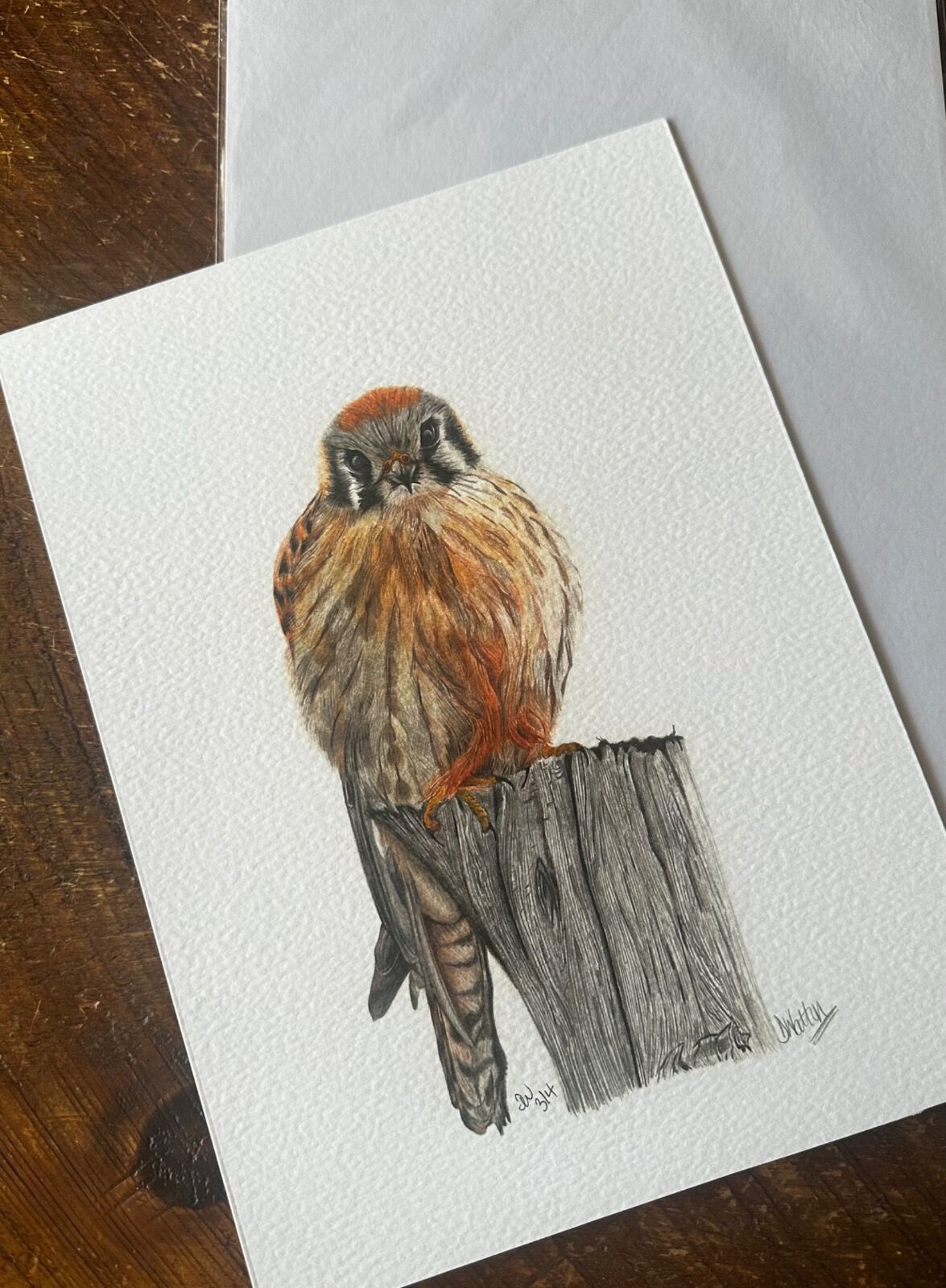 Kestrel Giclee Print