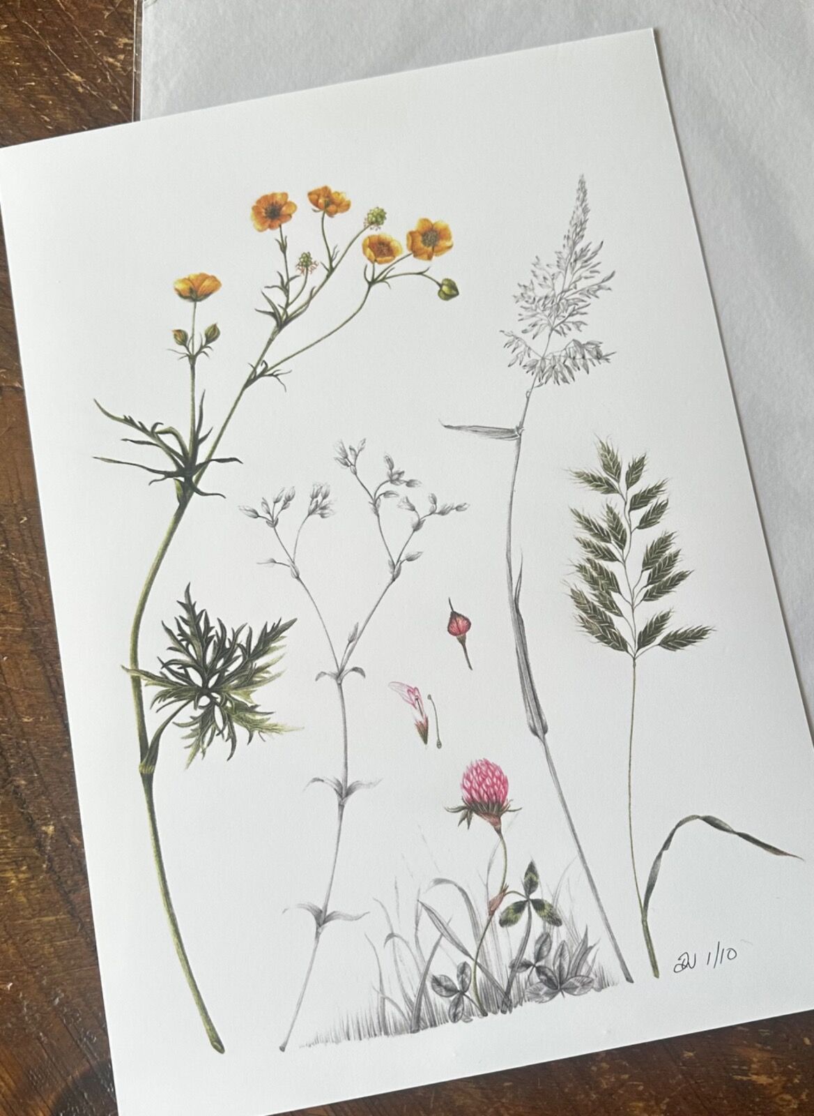 Summer Meadow Giclee Print
