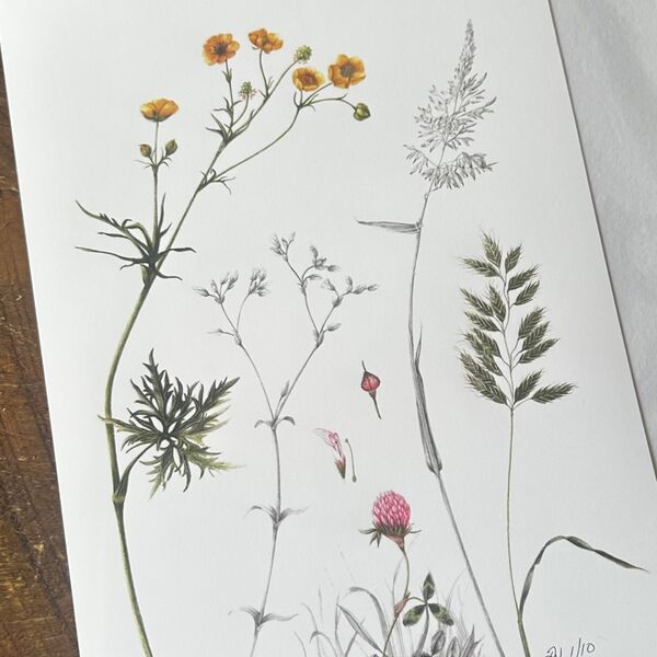Summer Meadow Giclee Print