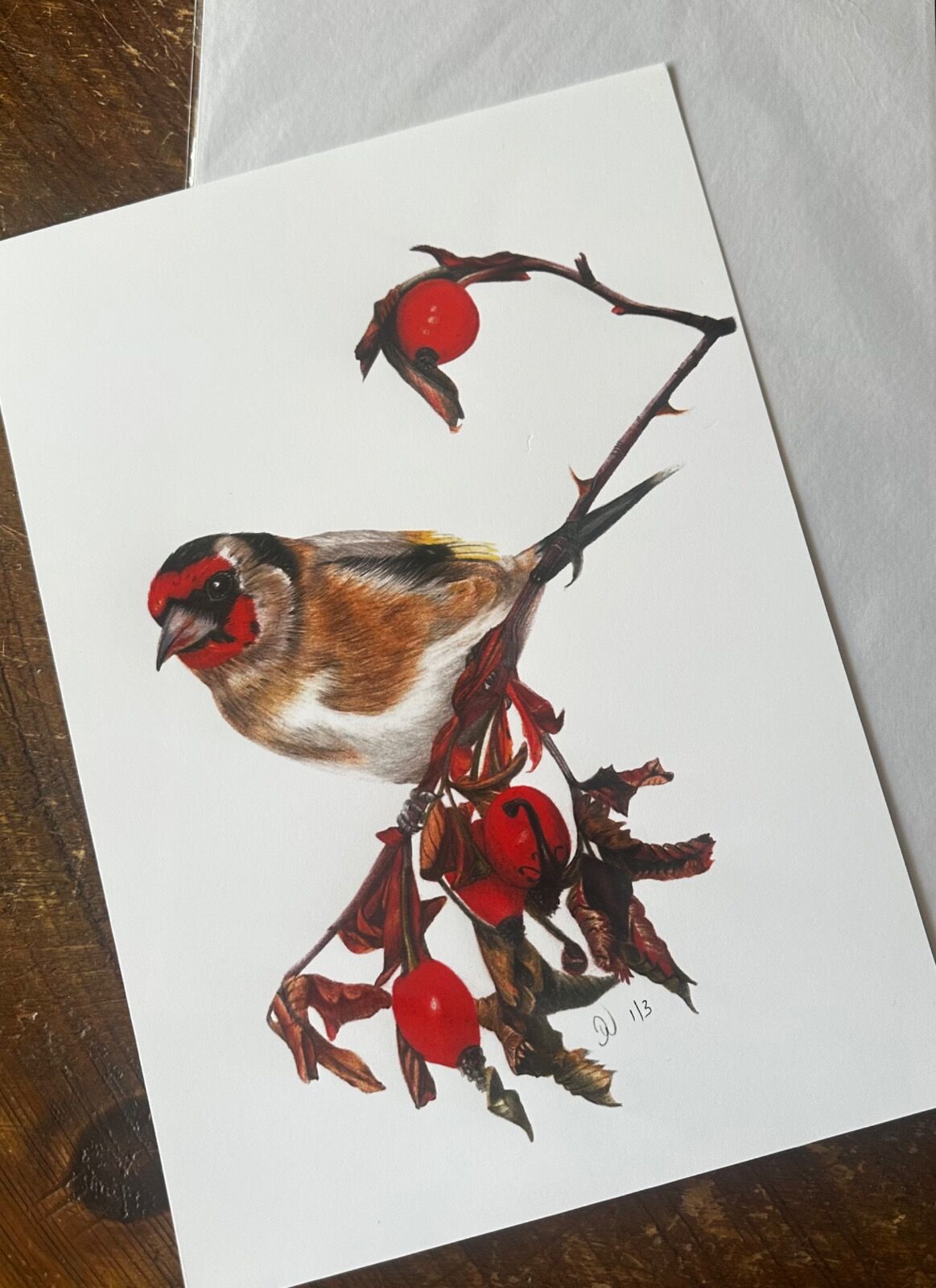 Goldfinch Giclee Print