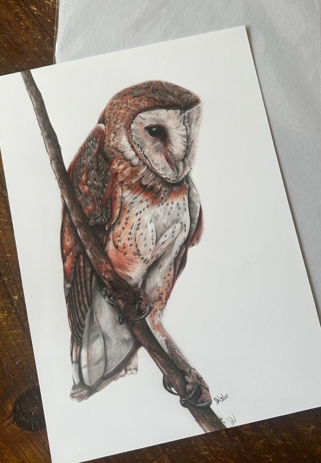 Barn Owl Giclee Print