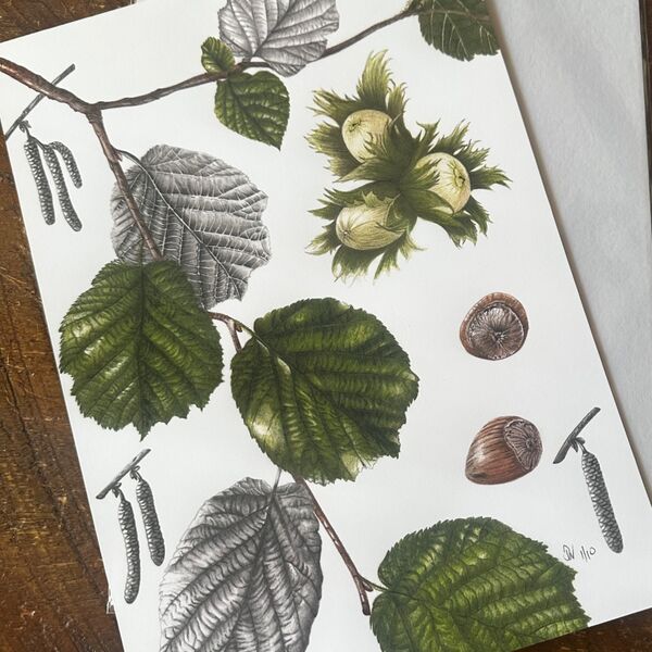 Hazel Illustration Giclee Print