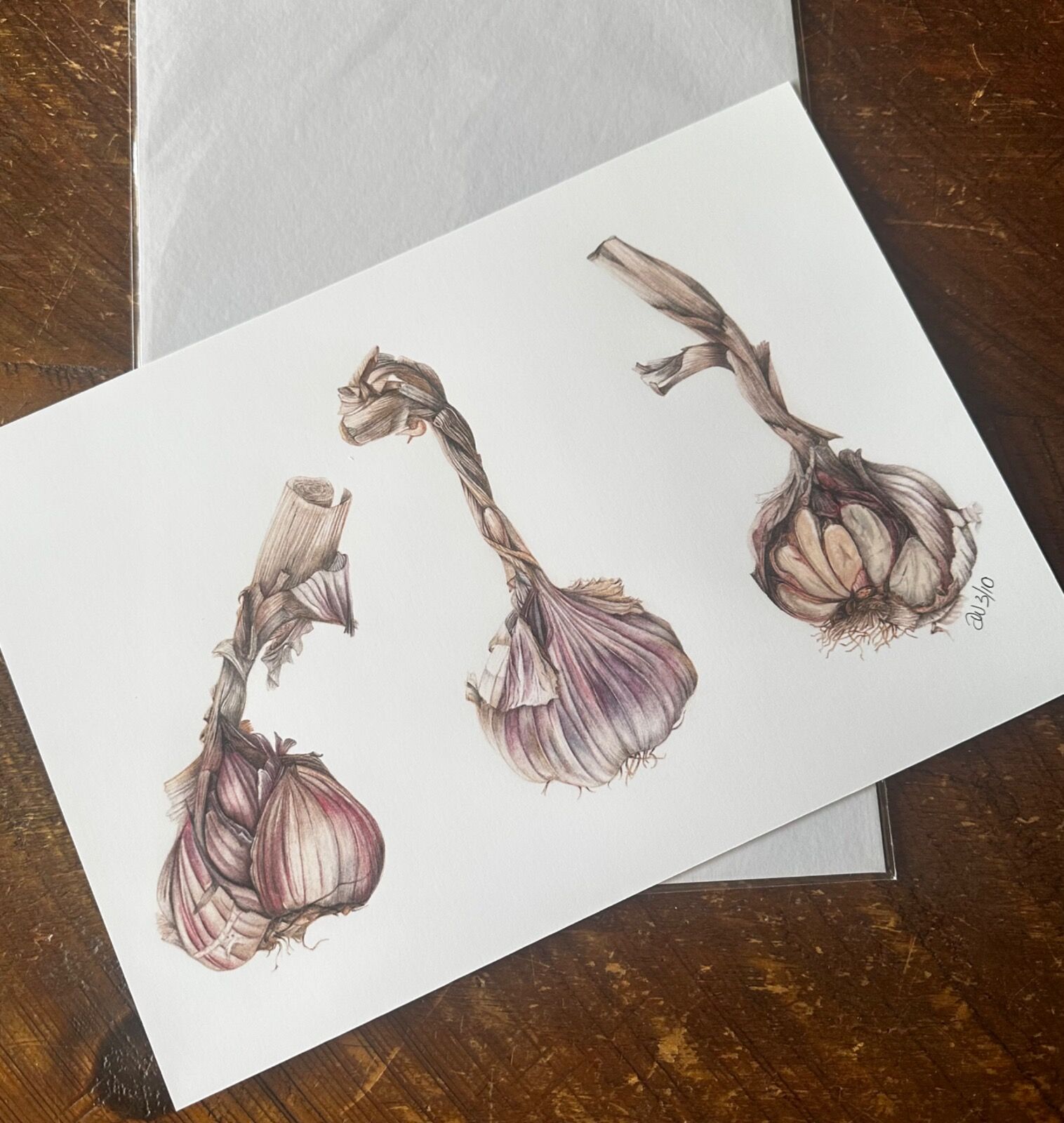 Garlic Trio Giclee Print