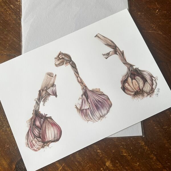 Garlic Trio Giclee Print