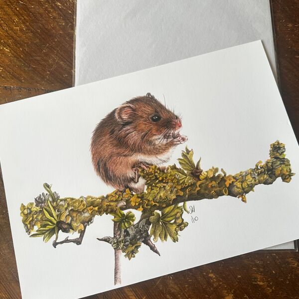 Mouse on a Branch Giclee Print