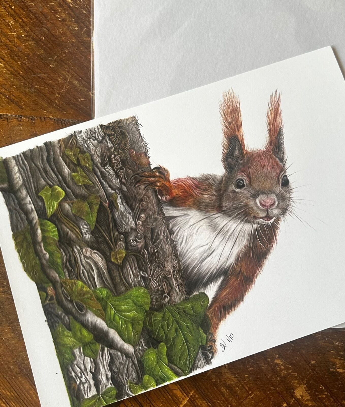 Red Squirrel Giclee Print