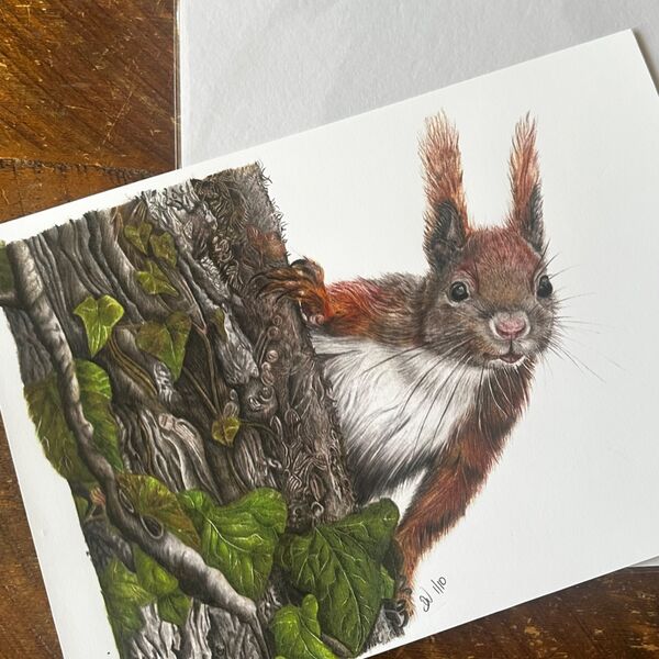 Red Squirrel Giclee Print
