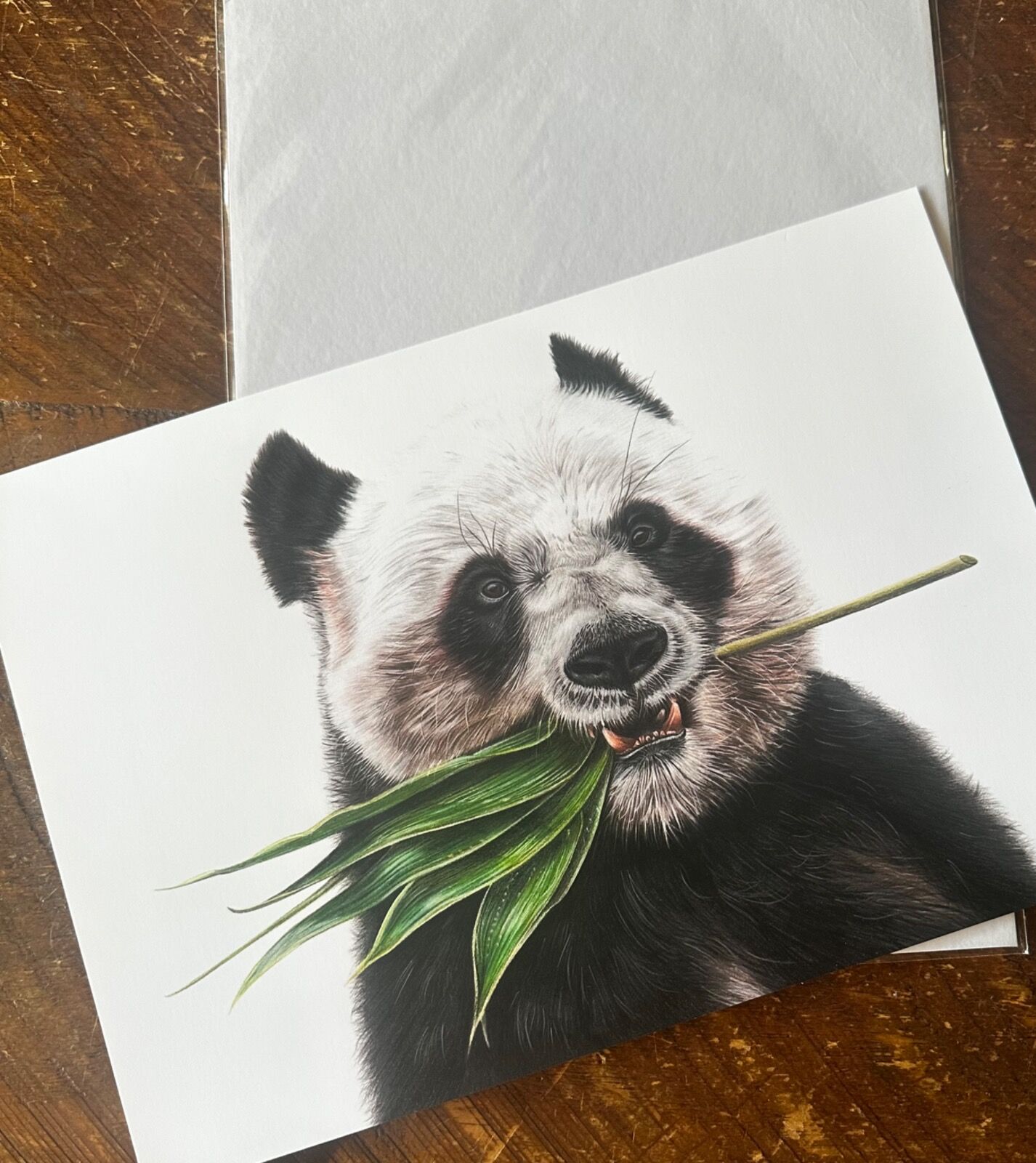 Giant Panda Giclee Print