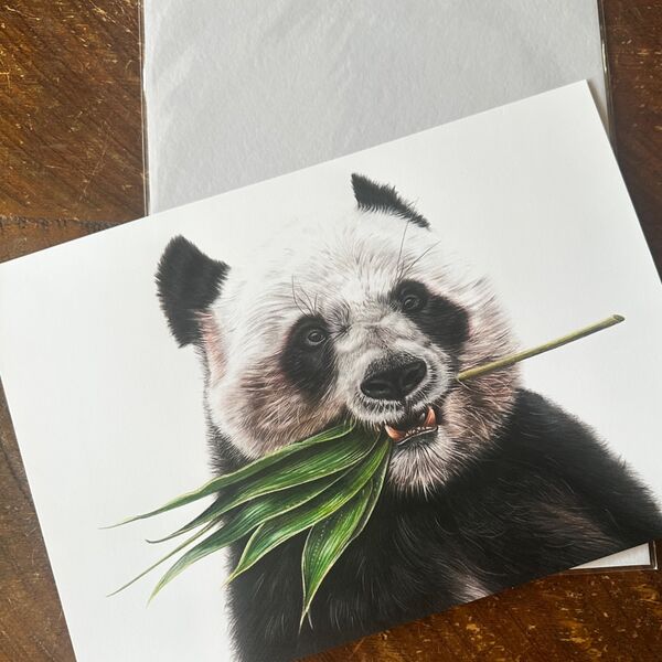 Giant Panda Giclee Print