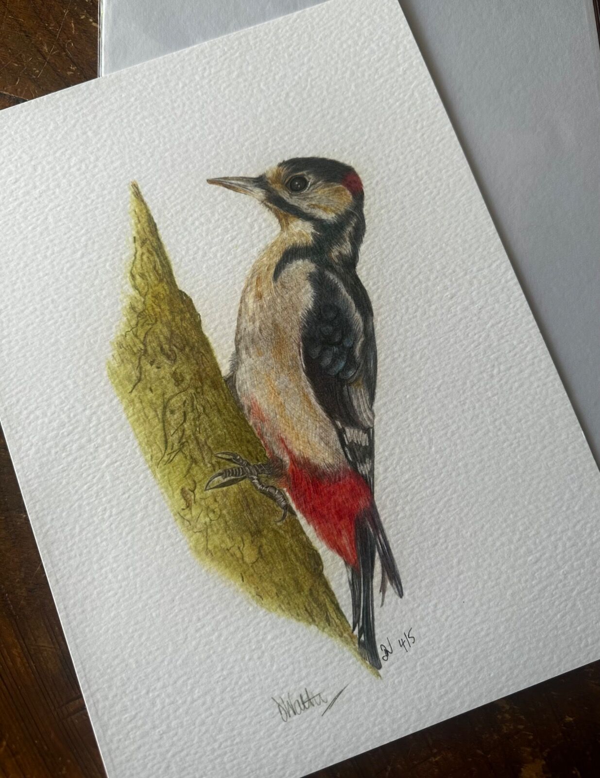 Woodpecker Giclee Print