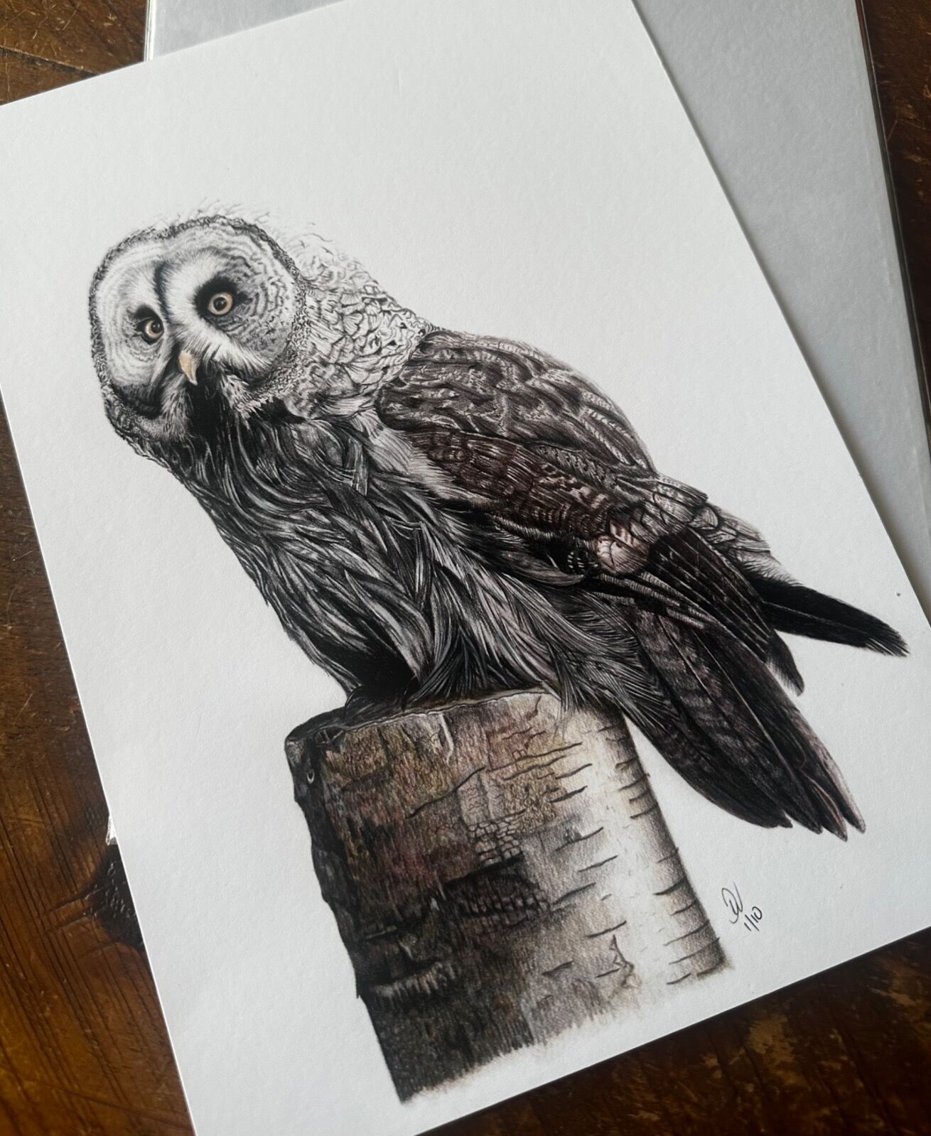 Great Grey Owl Giclee Print