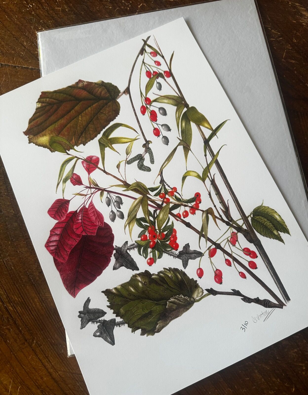 Winter Garden Giclee Print