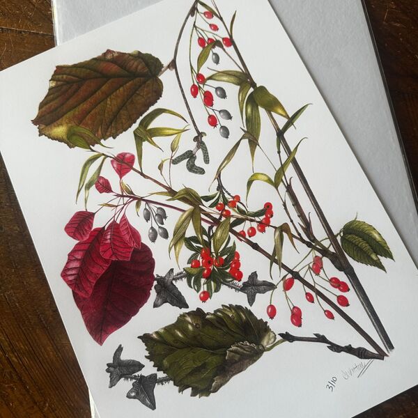 Winter Garden Giclee Print