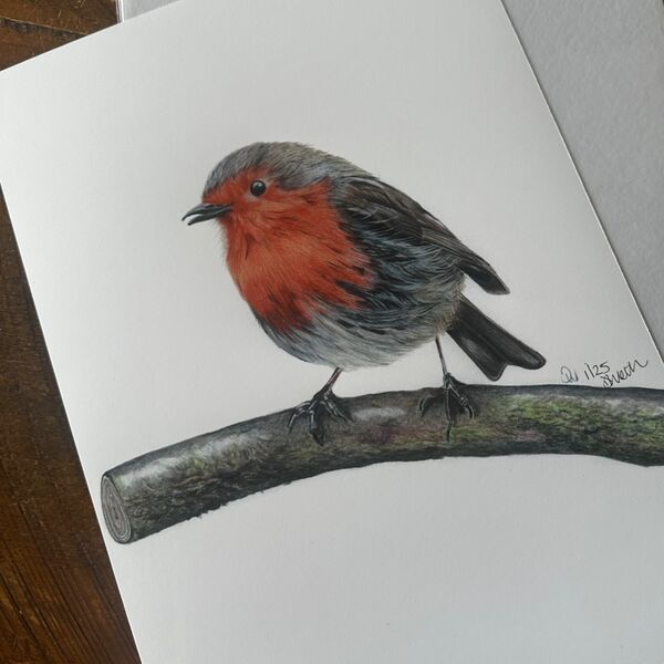 Robin Giclee Print