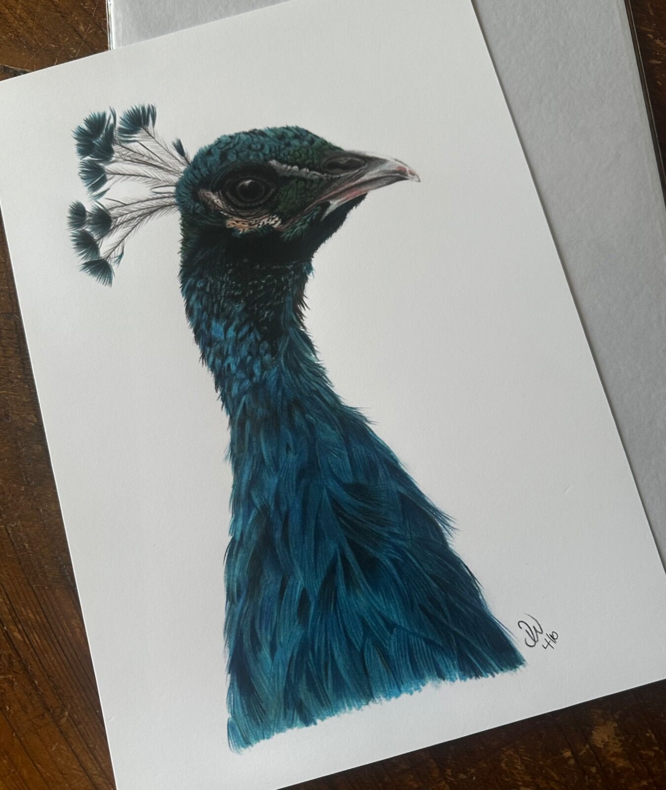 Peacock Portrait Giclee Print