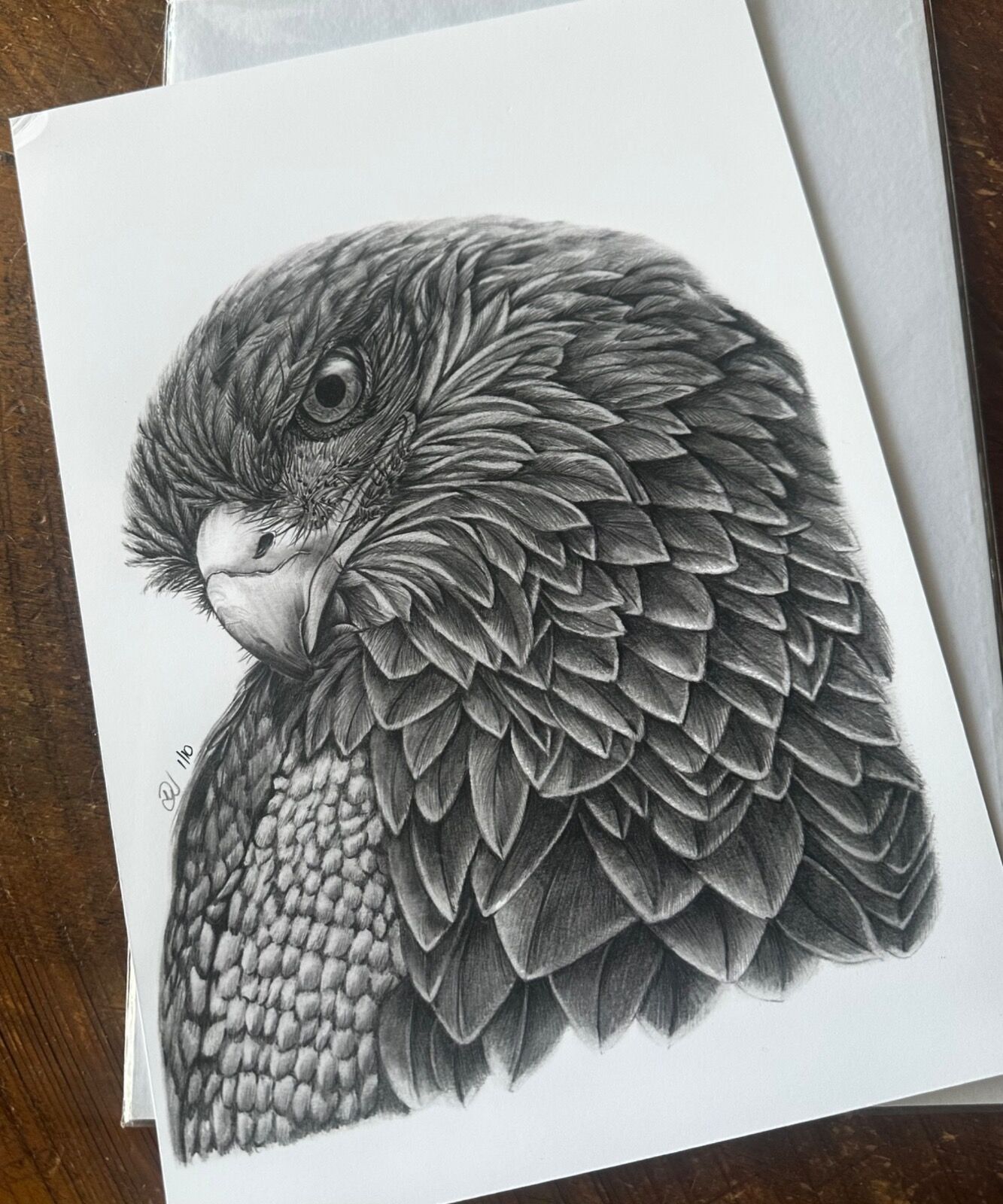 Buzzard Portrait Giclee Print