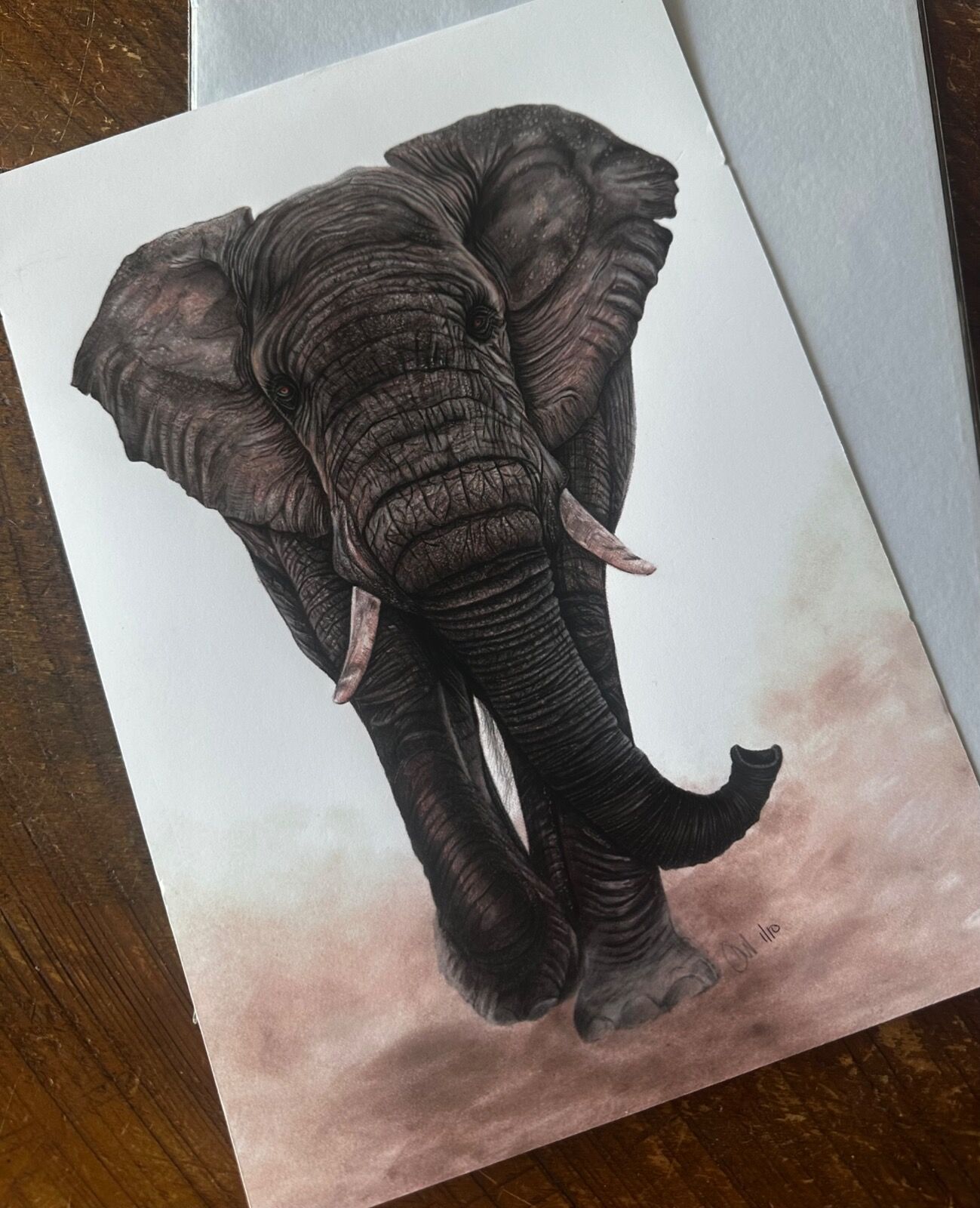 Elephant Portrait Giclee Print