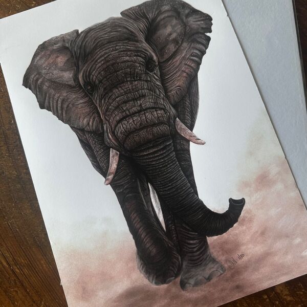 Elephant Portrait Giclee Print
