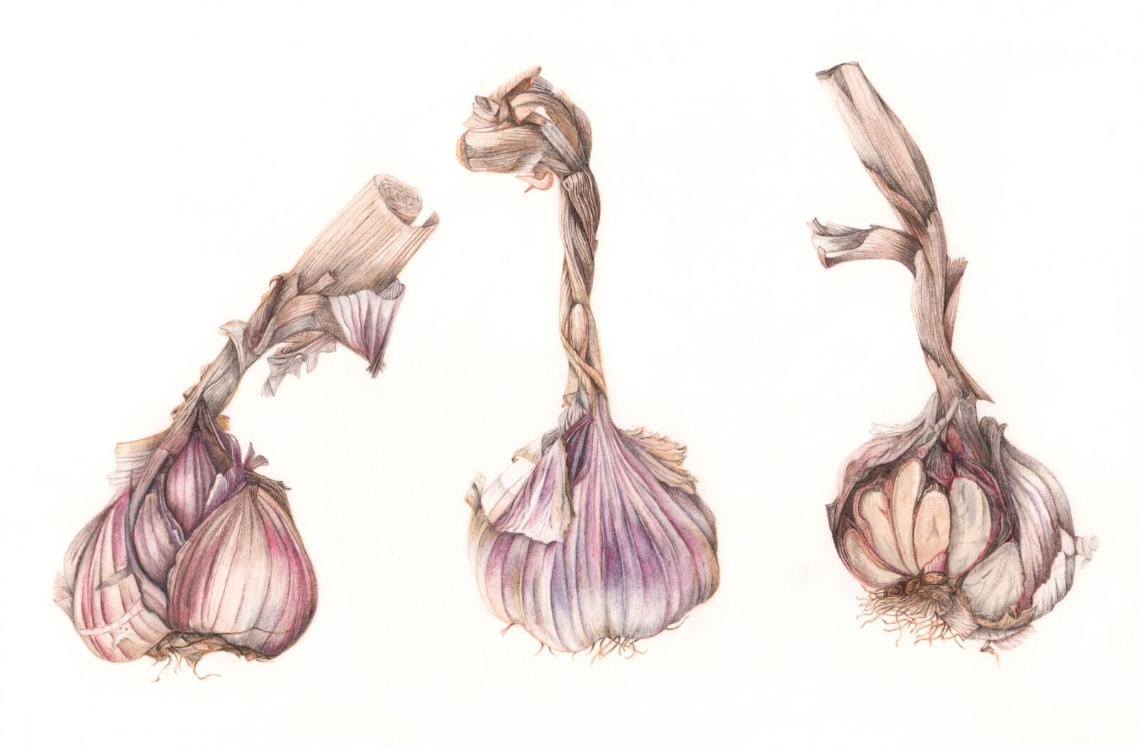 Garlic Trio