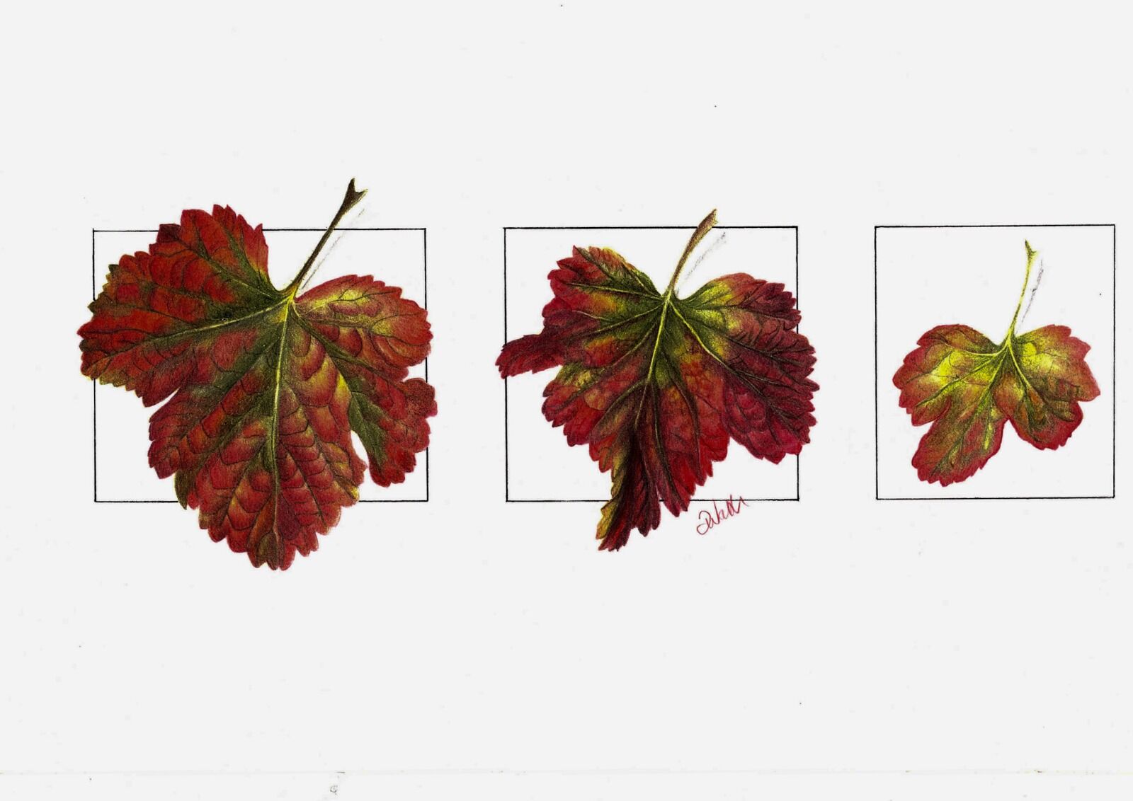 Autumn Leaves Triptych