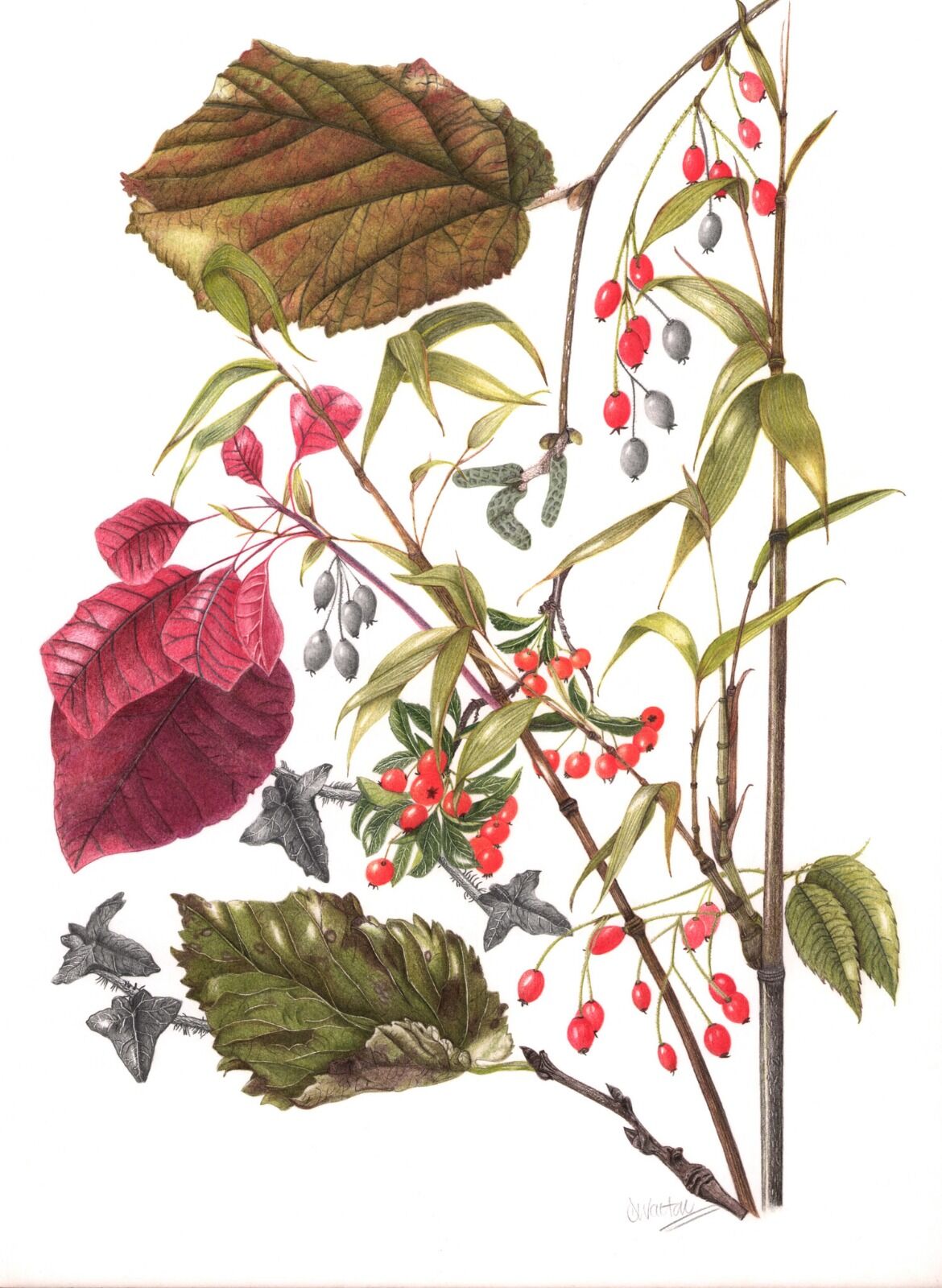 The Winter Garden