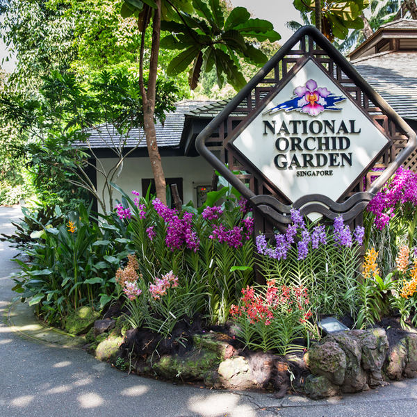 Botanical-Garden
