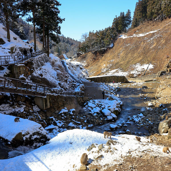 Looking Down the Valley
