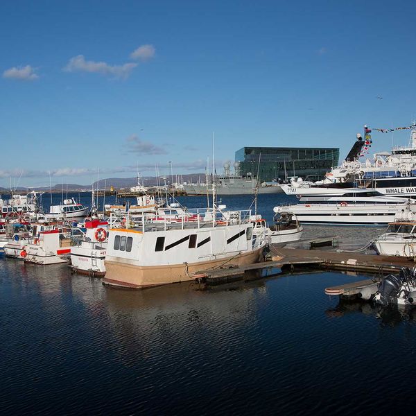 Reykavik Harbour