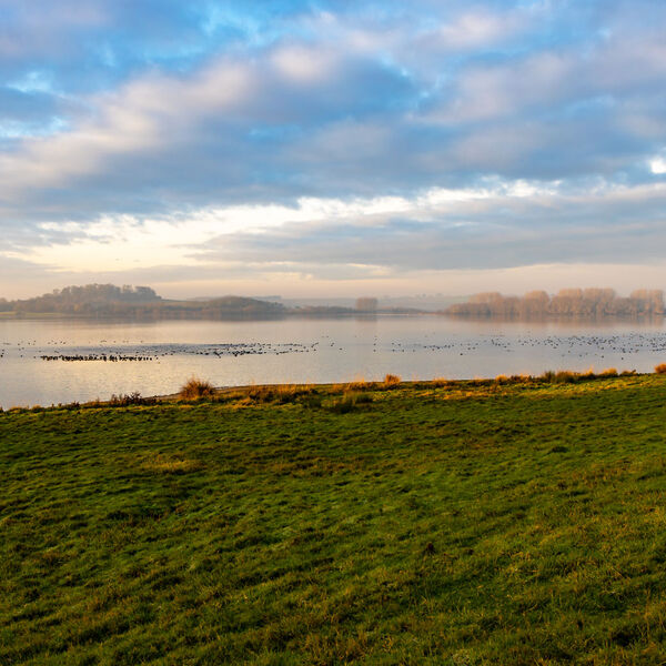 Rutland Water Bird Sanctuary