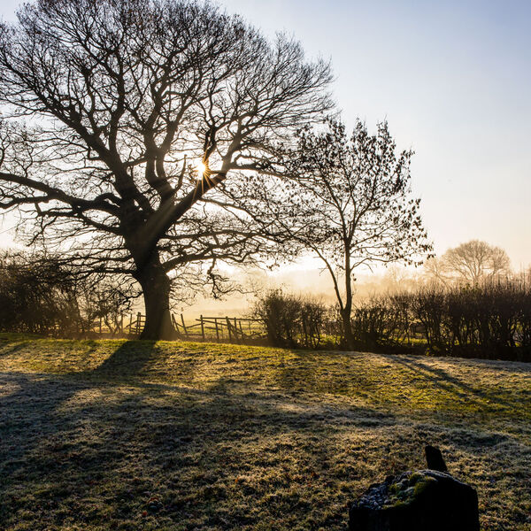 Rutland Water Misty Morning