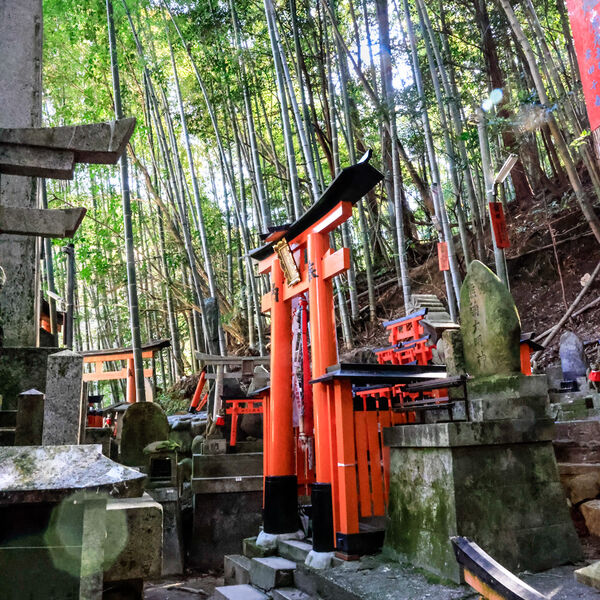 Shrines and Bamboo