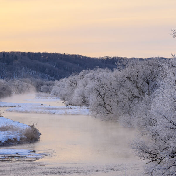 Sunrise -15c & Crane Roosting Site!