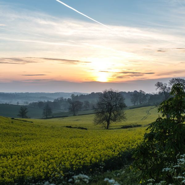 Spring sunrise - Preston Rutland