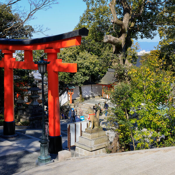Torii Gate
