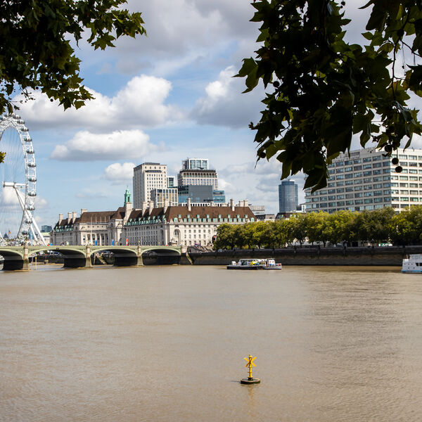 Westminster & London Eye